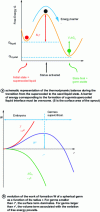 Figure 3 - Homogeneous nucleation