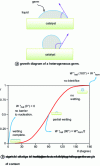 Figure 5 - Heterogeneous nucleation