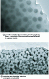 Figure 8 - MET images of ZnGa2O4 demixing in a GeO2 matrix.