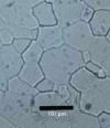 Figure 22 - Revealing the grain boundaries of a titanium carbide (TiC0.60) after 5 minutes etching with aqua regia [15].