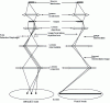 Figure 24 - Optical principle of a transmission electron microscope (from [8])