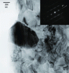 Figure 28 - Crystallographic orientation of SiC dark grain determined by TEM electron diffraction (after [23])