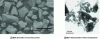 Figure 31 - Example of morphological study of ceramic powders by electron microscopy