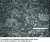 Figure 7 - Optical micrograph of the surface microstructure of a sample coated with wüstite [8].