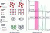 Figure 1 - Illustration from Rodolphe Macaigne's thesis [64].