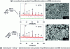 Figure 14 - X-ray diffraction patterns and SEM morphologies of powders synthesized after conventional and microwave heating (© Elsevier [46])