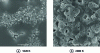 Figure 16 - SEM images of ZrB2-SiC samples oxidized in air plasma at maximum temperatures of 1,820 K and 2,000 K