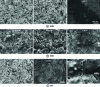 Figure 9 - SEM images of HCM, ZCM and ZCT surfaces after 20 min oxidation in air at atmospheric pressure at 1,800, 2,000 and 2,200 K respectively.