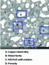 Figure 3 - Microstructure of a copper-nickel/nickel ferrite cermet (after [3])