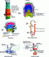Figure 10 - 3D diagram or cross-section of steelmaking tools, showing refractory linings made up of several layers and the location of different types of refractory.