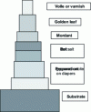 Figure 21 - Schematic succession of interface layers in wood gilding