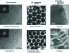 Figure 7 - Nanostructured porous glass (adapted from [37] Copyright © 2006 American Chemical Society, [40] © 2001 American Chemical Society, [42] © 2008 Wiley Periodicals Inc.)