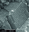 Figure 13 - Crystal of crystals: stacking FeCo nanoparticles 