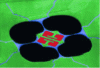 Figure 15 - Nanostructure used for phonon counting – Schwab et al. 