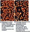 Figure 15 - Two step-by-step images of an interconnection structure made up of four gold nano-islands (from 59) 