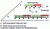 Figure 9 - Schematic diagram of a self-assembled molecular wire (A) that can serve as a host site for metal atoms scattering on the surface.