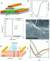 Figure 17 - a) Schematic diagram of an electrolytic
photo-transistor; the nanoparticle film is then in contact with an
electrolyte, which may be liquid or solid; the electrolyte acts as
a reservoir for ions that control the carrier density in the nanoparticles;
b) current and photoresponse of a CdSe/CdS nanoplatelet film as a
function of gate voltage; c) photoresponse as a function of incident
light power for a CdSe/CdS nanoplatelet film connected to micrometric
electrodes or connected through a nanotranche; scanning electron microscopy
image of a CdSe/CdS nanoplatelet-functionalized nanotranche. e) schematic
diagram of a nanoparticle-functionalized graphene-based component;
f) current vs. gate voltage for a CdSe/CdS nanoplatelet-functionalized
graphene phototransistor at different excitation light power levels.