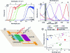 Figure 18 - a) Photocurrent spectra of HgTe nanocrystals
of three different sizes, measured at two temperatures; b) Absorption
spectrum of HgSe nanocrystals around their in-band transistion for
four nanocrystal sizes, measured at room temperature; c) schematic
diagram of a two-color detector obtained by combining a film of HgTe
nanocrystals for near-infrared detection and a film of CdSe/CdS nanoplatelets
for visible detection; d) photoresponse of different infrared detector
technologies as a function of their detection wavelength.