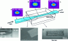 Figure 13 - Coupling diagram between a straight silicon waveguide and a polymer/carbon nanotube nanocomposite. (a) Optical mode existing in a 450 nm wide waveguide. (b) Optical mode existing in a 275 nm wide waveguide. (c) SEM image of the interaction zone between the waveguide and the nanotubes. (d) and (e) Optical images of the interaction zone and waveguide injection, respectively (Input: input; output: output; lensed fiber; top view (after [45]).