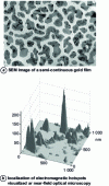 Figure 10 - Plasmonic nanosource based on surface plasmon interference on a semi-continuous gold film