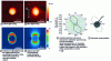 Figure 21 - AFM images of a metal nanoparticle before and after photopolymerization [11] [40].