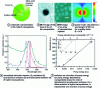 Figure 28 - Spaser [59]