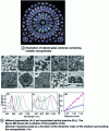 Figure 5 - Examples of accessible metal nanoparticle geometries