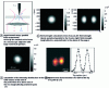 Figure 6 - GSH nanosource excited at metal tip