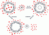 Figure 5 - Schematic representation of the complexation of a substrate S by a β-cyclodextrin in an aqueous medium