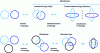 Figure 16 - Topological isomerism: rings and catenanes