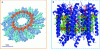 Figure 5 - A) Partial view of the tobacco mosaic virus helical coil (RNA in orange, capsid in blue) [7] B) Crystal structure of the LH-2 light-collecting complex showing supramolecular protein assemblies (blue) and chlorophyll (green) and carotenoid (red) molecules [8].