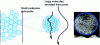 Figure 8 - Steric exclusion chromatography. Example of the use of natural nanofluidic structures: a size filter is created using a nanoporous medium.