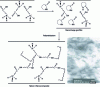 Figure 2 - Schematic diagram of caprolactam polymerization in the presence of organically modified lamellar nanofillers