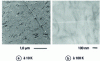 Figure 7 - Transmission electron microscope image of montmorillonites exfoliated in PET by in situ synthesis, from 