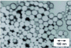 Figure 5 - Cross-section of nanofilaments produced by Toray©.