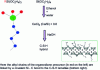 Figure 13 - Reaction scheme to obtain a hybrid C-S-H