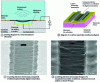 Figure 25 - Schematics of ultrasonic microtransducers and SEM images of nanotube membranes (after [83])