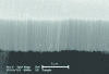 Figure 27 - "Forest" of multiwall carbon nanotubes [88].