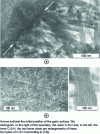 Figure 7 - Transmission electron microscopy (TEM) of a hardened tricalcium silicate paste mixed at a water/solid weight ratio of 0.4, after 8 years.