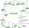 Figure 6 - Classical CNF/CNC covalent chemical surface modifications: PEG: poly(ethylene glycol); PEO: polyoxyethylene; PLA: polylactic acid; PAA: polyacrylic acid; PNIPAAm: poly(N-isopropylacrylamide); PDMAEMA: poly(N, N-dimethylaminoethyl methacrylate) [86]