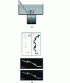 Figure 6 - (a) Schematic representation of the nanochain synthesis process, (b) TEM images (A-D) of P2VPq-stabilized magnetic nanochains (after [45]).