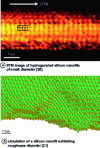 Figure 6 - a) STM image of a small-diameter hydrogenated silicon nanowire ([20]). b) Simulation of a silicon nanowire with roughness disorder ([21]).
