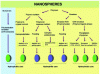 Figure 10 - Different ways of synthesizing nanospheres from monomers or polymers