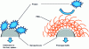 Figure 2 - Diagram of a first (left) and second (right) generation nanoparticle.