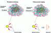 Figure 1 - Principle of photothermal therapy and photoacoustic imaging