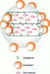 Figure 11 - Representation of a MSN whose pores encapsulate host molecules (drugs) and are plugged by porters