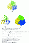 Figure 1 - The different ways of representing proteins. Chorismate mutase