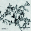 Figure 4 - Electron microscopy image of a food-grade fumed silica sample