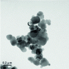 Figure 5 - Transmission electron microscopy image of a food-grade titanium dioxide sample (courtesy of Institut des Matériaux de Nantes, IMN)