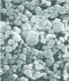 Figure 2 - Microscopy of Alex® aluminum nanoparticles